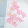 1.5 2 cm/24 pièces, mini pétales de fleurs de sakura pressés naturels, invitations de mariage à faire soi même greffe signet carte cadeau, décoration artistique de pointe d'ongle