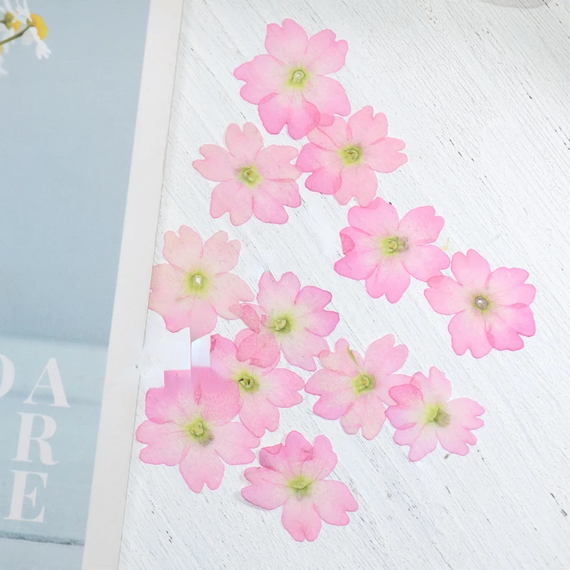 1.5 2 cm/24 pièces, mini pétales de fleurs de sakura pressés naturels, invitations de mariage à faire soi même greffe signet carte cadeau, décoration artistique de pointe d'ongle 1.5 2 cm/24 pièces, mini pétales de fleurs de sakura pressés naturels, invitations de mariage à faire soi même greffe signet carte cadeau, décoration artistique de pointe d'ongle
