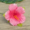 ensemble d'épingles à cheveux en hibiscus vintage, 10 pièces, style îles de tahiti, fête de famille, mariage, événement nuptial, vacances hawaïennes, fleur artificielle