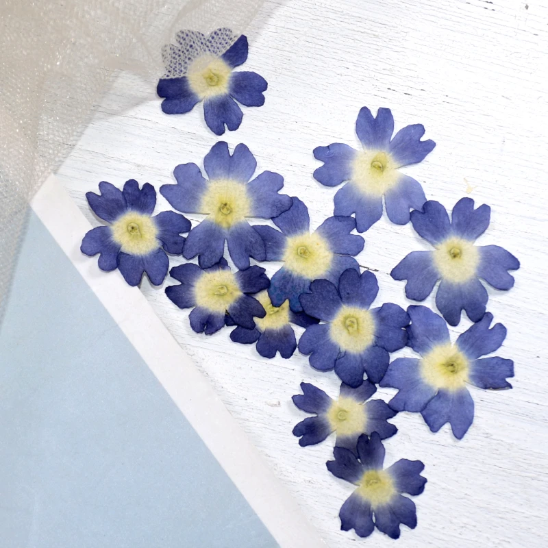 1.5 2 cm/24 pièces, mini pétales de fleurs de sakura pressés naturels, invitations de mariage à faire soi même greffe signet carte cadeau, décoration artistique de pointe d'ongle 1.5 2 cm/24 pièces, mini pétales de fleurs de sakura pressés naturels, invitations de mariage à faire soi même greffe signet carte cadeau, décoration artistique de pointe d'ongle