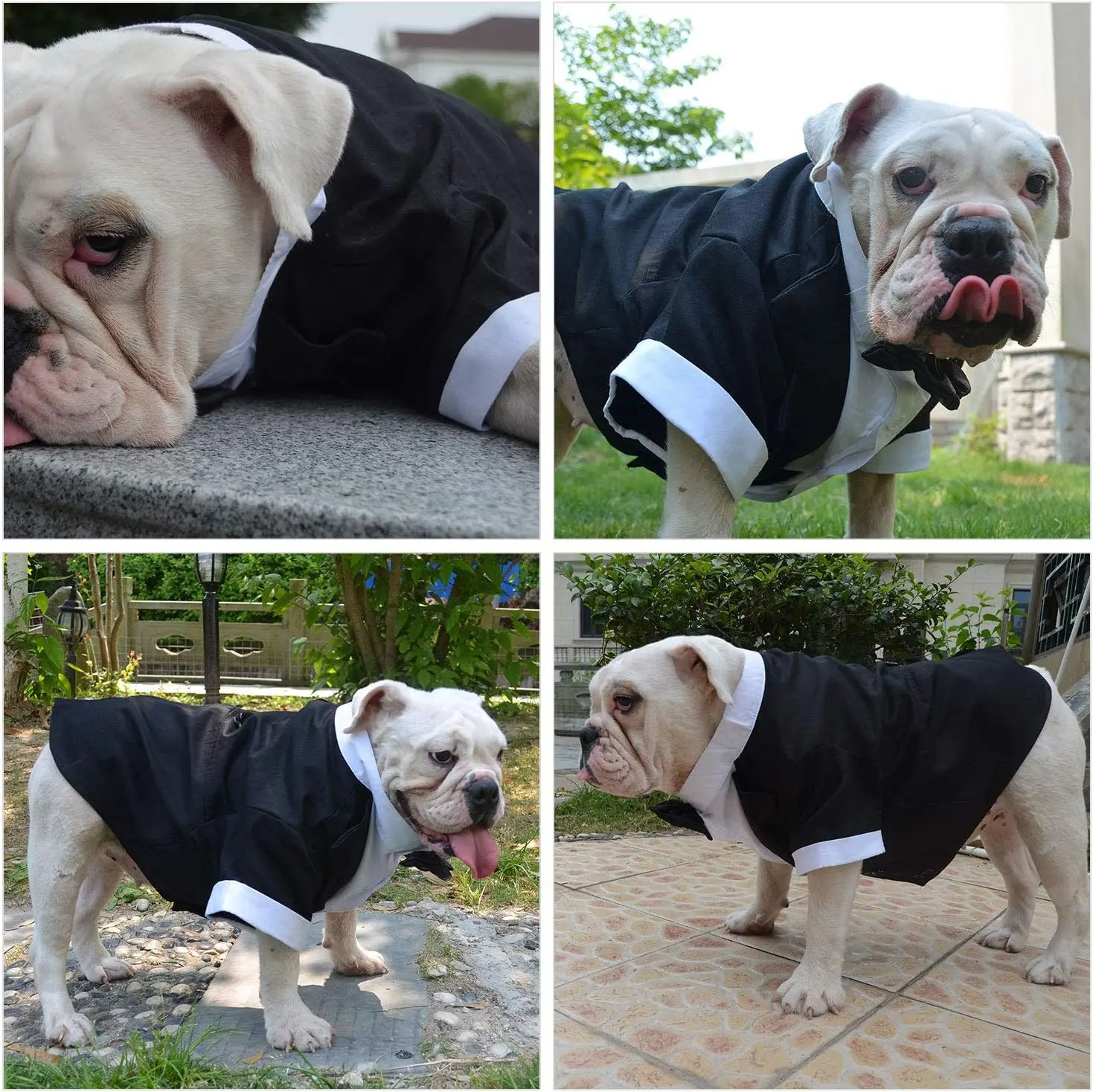 costume de smoking formel avec nœud papillon noir pour chiens, costume pour animaux de compagnie, vêtements de mariage, grands, moyens, petits chiens, chat costume de smoking formel avec nœud papillon noir pour chiens, costume pour animaux de compagnie, vêtements de mariage, grands, moyens, petits chiens, chat