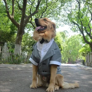Costume de smoking formel avec nœud papillon noir pour chiens, Costume pour animaux de compagnie, vêtements de mariage, grands, moyens, petits chiens, chat Costume de smoking formel avec nœud papillon noir pour chiens, Costume pour animaux de compagnie, vêtements de mariage, grands, moyens, petits chiens, chat