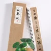 cahier de calligraphie classique zhao mengfu, running pier, stylo pinceau traditionnel, rick chinois, livre d'écriture de lutte
