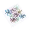 k3ne sèche fleurs séchées charmes ongles décorations artistiques charmes japonais