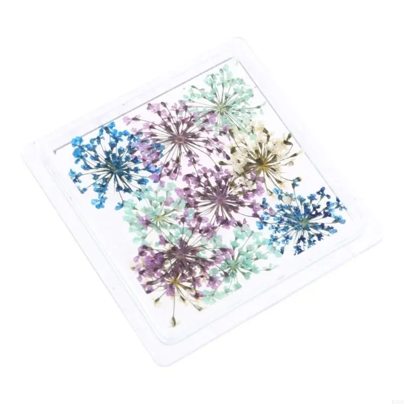 k3ne sèche fleurs séchées charmes ongles décorations artistiques charmes japonais k3ne sèche fleurs séchées charmes ongles décorations artistiques charmes japonais