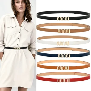 Ceinture Vintage de Haute Qualité pour Femme, Fine, Environnement, Serrure Dorée, Robe Jean, Pull, Nouvelle Mode Ceinture Vintage de Haute Qualité pour Femme, Fine, Environnement, Serrure Dorée, Robe Jean, Pull, Nouvelle Mode