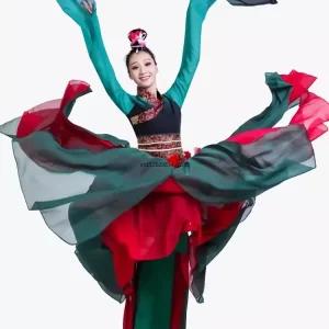 Costume de danse folklorique traditionnelle chinoise pour femmes, vêtements de danse Yangko pour adultes, broderie élégante, vêtements d&rsquo;entraînement pour spectacle de danse