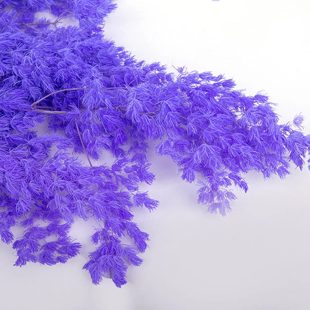 penglai – fleurs séchées naturelles, pin éternel, pour décoration de maison nordique, bouquet floral ming fern, plantes ornementales penglai – fleurs séchées naturelles, pin éternel, pour décoration de maison nordique, bouquet floral ming fern, plantes ornementales