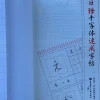cahier de calligraphie japonaise cinquante ton katakana kanji, script de pratique, introduction au livre de base zéro