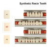 vvdental a1 a2 a3 dentaire résine synthétique dents prothèse dents supérieur antérieur inférieur dentier dents modèle d'éducation dentaire