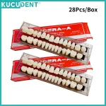 Jeu de dents en résine Composite dentaire, 28 pièces, remplacement complet de la bouche, prothèse dentaire en résine acrylique 22/23 ombres A2/A3, modèle d&rsquo;enseignement de la dentisterie