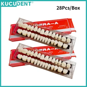 Jeu de dents en résine Composite dentaire, 28 pièces, remplacement complet de la bouche, prothèse dentaire en résine acrylique 22/23 ombres A2/A3, modèle d&rsquo;enseignement de la dentisterie