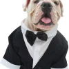 costume de smoking formel avec nœud papillon noir pour chiens, costume pour animaux de compagnie, vêtements de mariage, grands, moyens, petits chiens, chat
