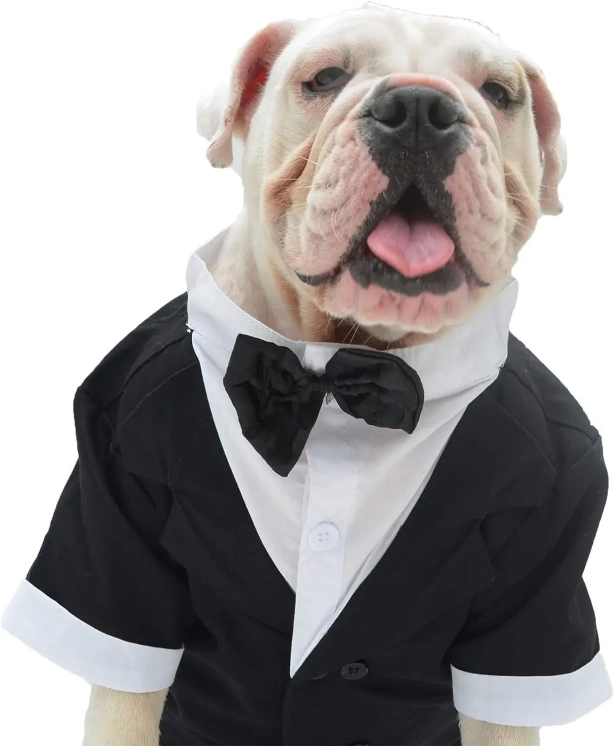 costume de smoking formel avec nœud papillon noir pour chiens, costume pour animaux de compagnie, vêtements de mariage, grands, moyens, petits chiens, chat costume de smoking formel avec nœud papillon noir pour chiens, costume pour animaux de compagnie, vêtements de mariage, grands, moyens, petits chiens, chat