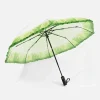 parapluie de laitue unique, reflets des jours de pluie, personnalité de la mode, intéressant, pratique, différent parasol, avion banane