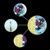 pièce commémorative en or anime demon slayer, kimetsu no yaiba, pièces de monnaie souvenirs en métal, collection d'art manga, ornements, cadeau de décoration artisanale