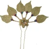 couvre chef de style ancien, coiffure thaïlandaise, couvre chef hanfu ancien, bâtons de cheveux en métal fleur, plume dorée, épingle à cheveux en forme de u pour femmes