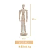 mannequin de dessin en bois de corps d'homme, modèle rotatif, artiste, membres mobiles, figurauckland, humain, mâle, l'inventaire, artisanat de décoration