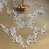 Dentelle brodée blanche de riz de contour de fil d’argent de modèle européen, matériaux de patch de robe de mariage de bricolage, combinaison d’ab, nouveau, 2024 Dentelle brodée blanche de riz de contour de fil d’argent de modèle européen, matériaux de patch de robe de mariage de bricolage, combinaison d’ab, nouveau, 2024